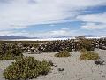 Coipasa Salt Flats (27)